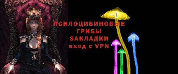 гашик Верхний Тагил