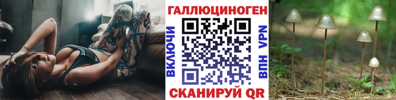 Псилоцибиновые грибы Cubensis  Купить где  Белозерск 